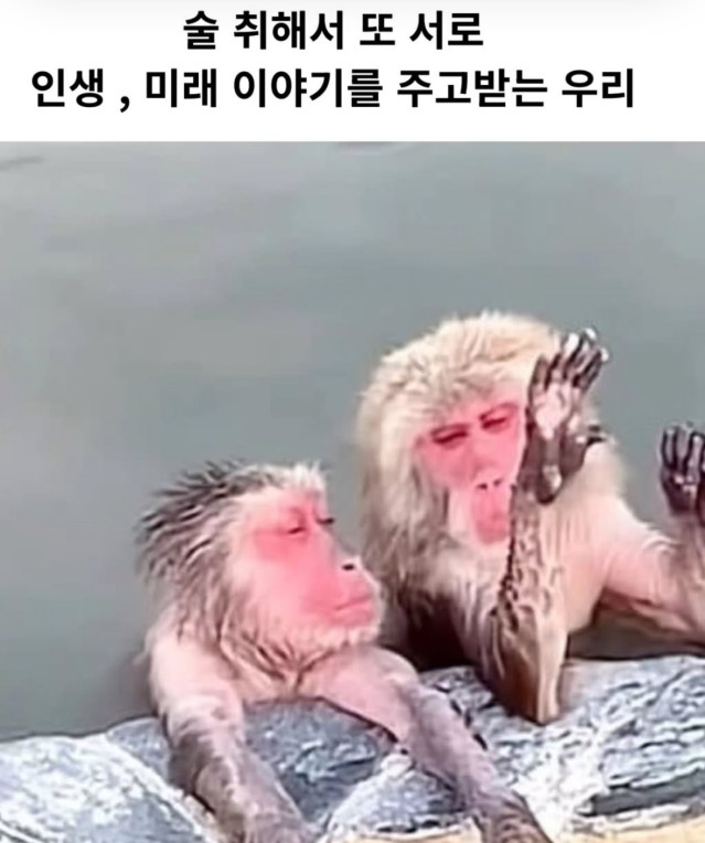 술먹고 난 후 내 모습 ㄷㄷㄷ..
