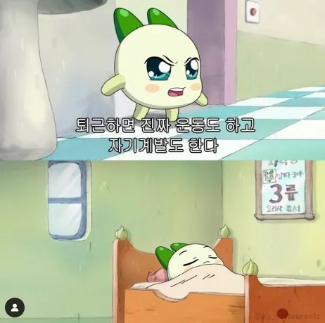 직장인들이 많이 하는 거짓말