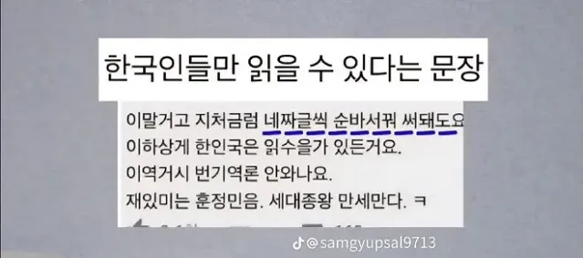 한국인들만 읽을 수 있다는 문장