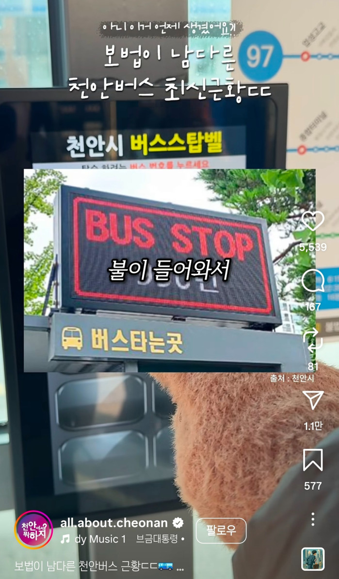 천안 버스 근황