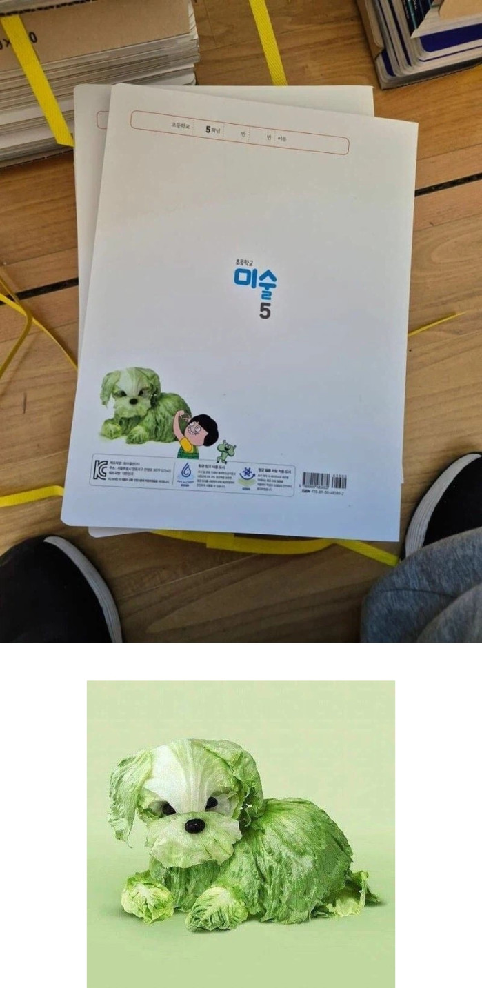 요즘 초등학교 미술 교과서 표지