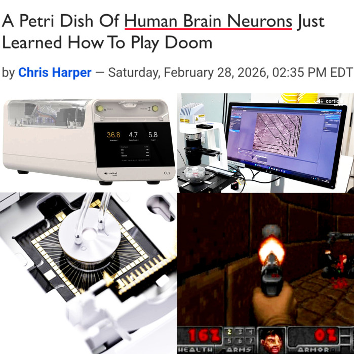 인간 뇌세포로 만든 컴퓨터로 한 일