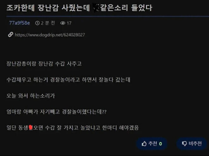 조카에게 장난감을 사줬더니