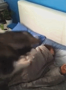 개가 인간을 깨우는 방법들