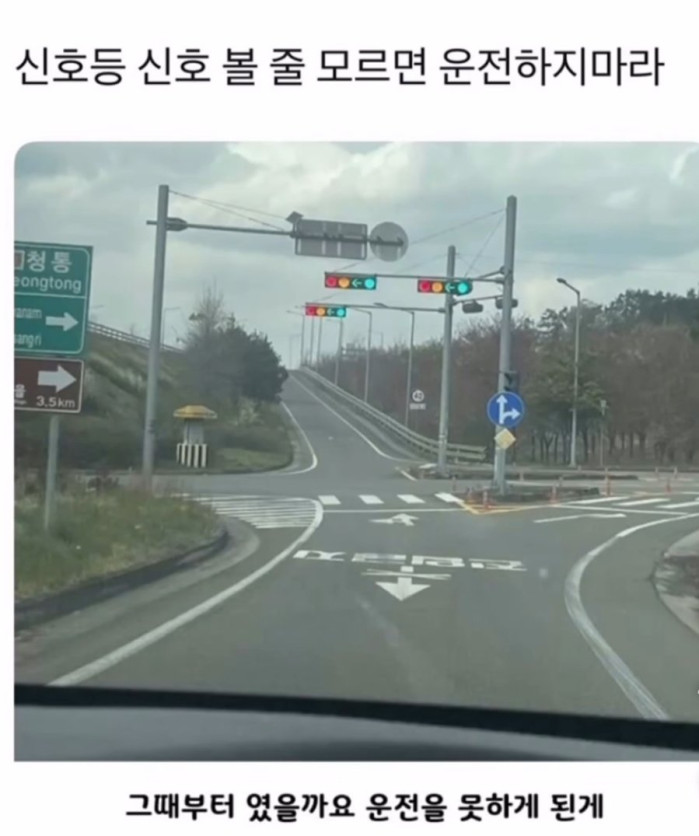 신호등 신호 볼 줄 모르면 운전하면안됨