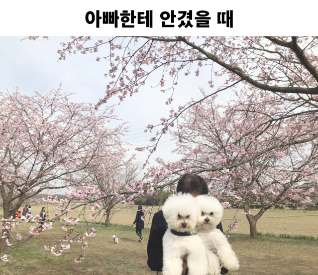 엄마가 안았을 때와 아빠가 안았을 때의 차이