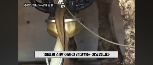 Screenshot_20250725_044532_YouTube.jpg 2026년은 국산우유 파멸의 날