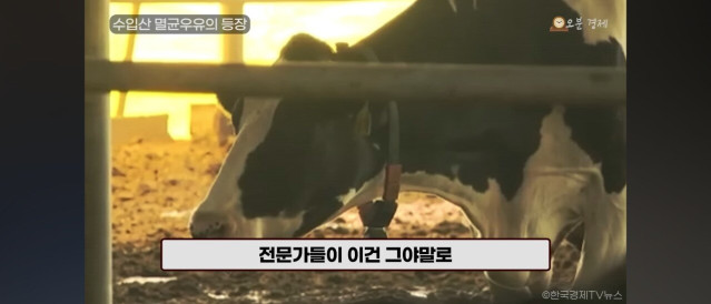 Screenshot_20250725_044528_YouTube.jpg 2026년은 국산우유 파멸의 날