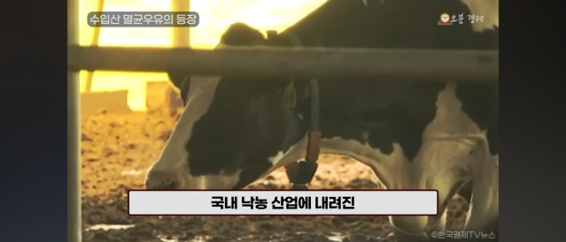Screenshot_20250725_044530_YouTube.jpg 2026년은 국산우유 파멸의 날