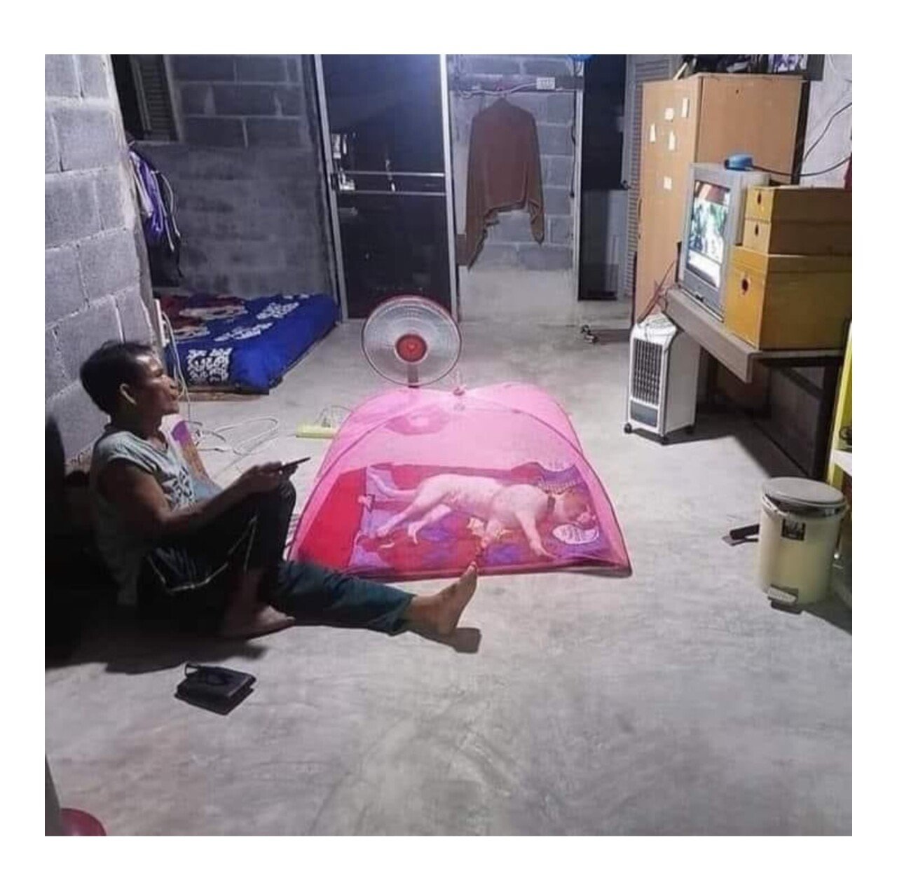 너만 안 물리면 돼