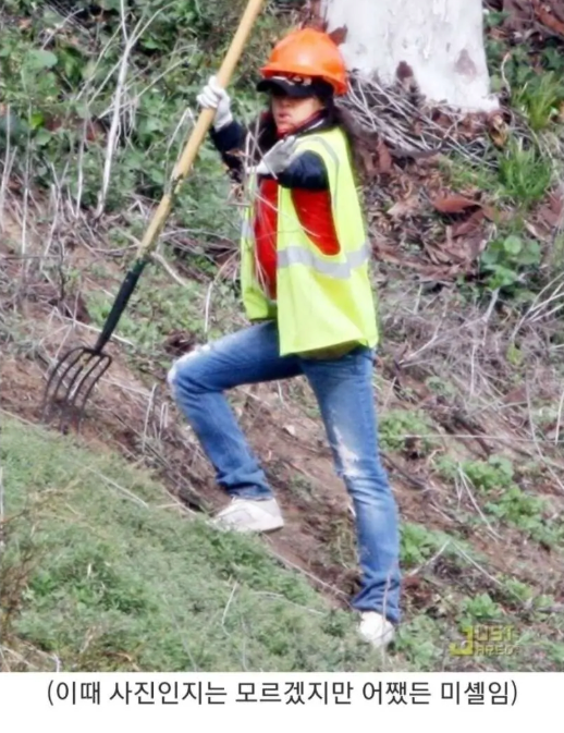 상습 음주운전, 폭행으로 징역살아도 커리어 안 꼬인 헐리우드 배우