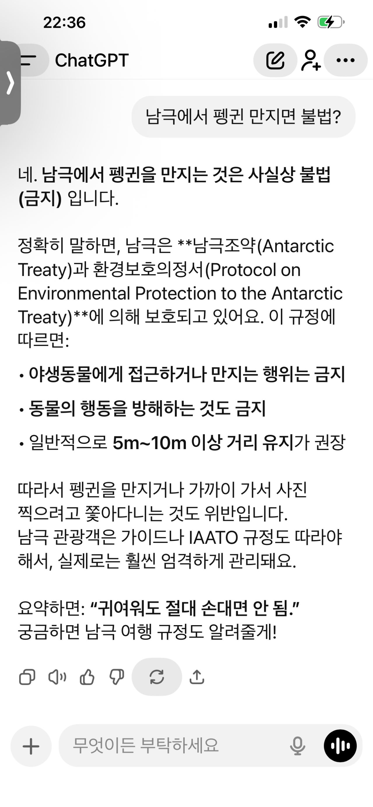 남극에서 펭귄을 만지면 불법일까? GPT야 알려줘!