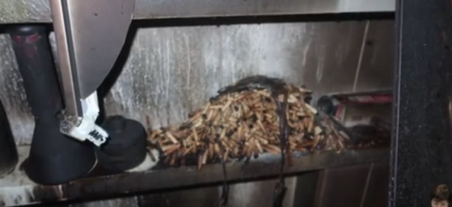 스크린샷 2025-11-21 184749.png 격추재업) 실내 흡연으로 불 낸 걸로 추정되는 스트리머 ㄷㄷ