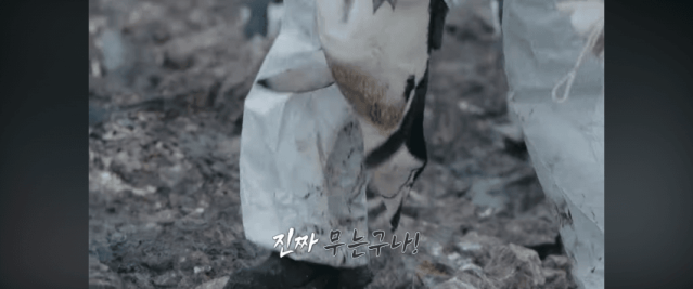 PNG 이미지.png 남극에서 펭귄을 만지면 불법일까? GPT야 알려줘!