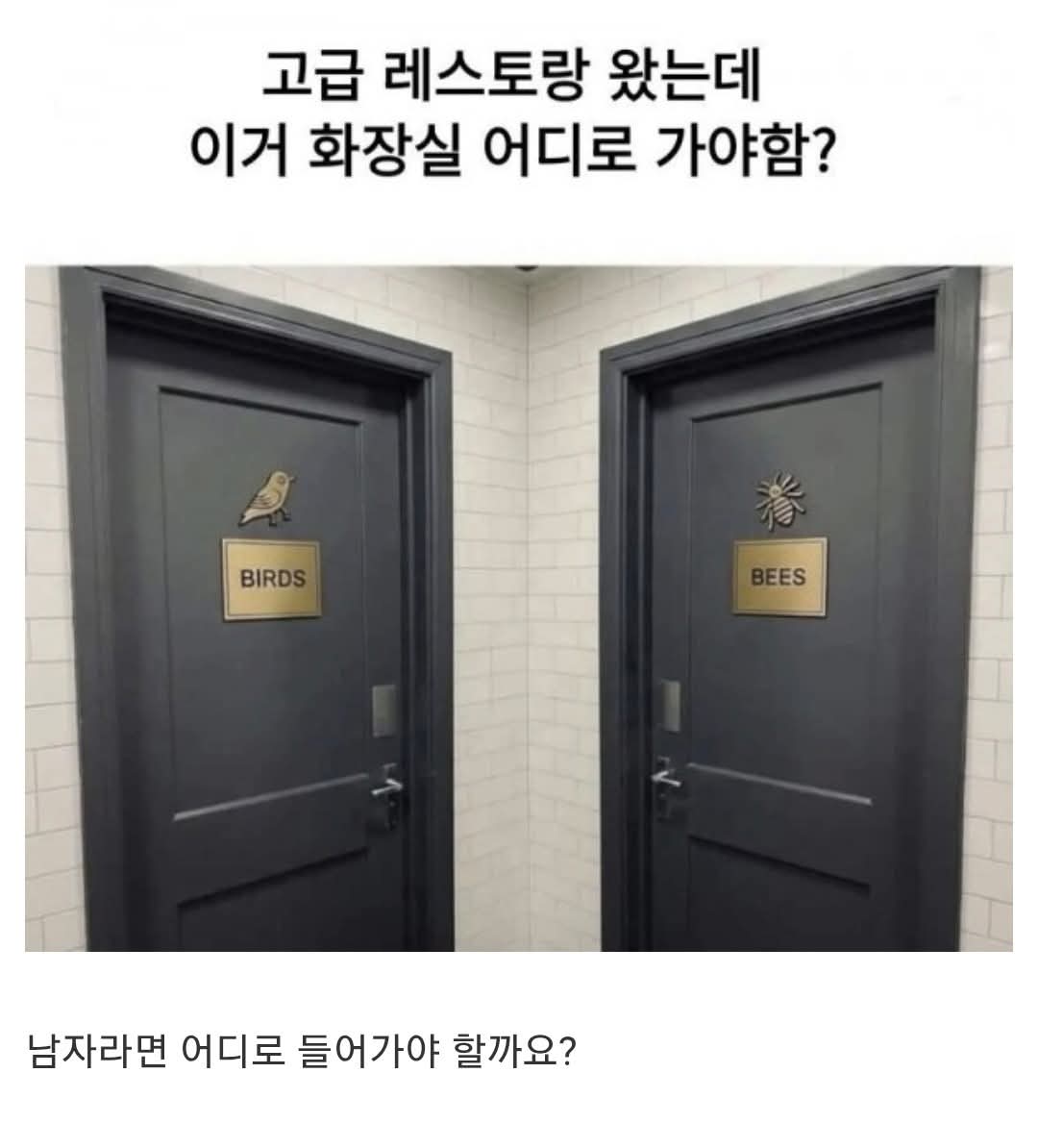 1766518628133.jpg 고급 레스토랑 왔는데 화장실 어디로 가야함?.jpg