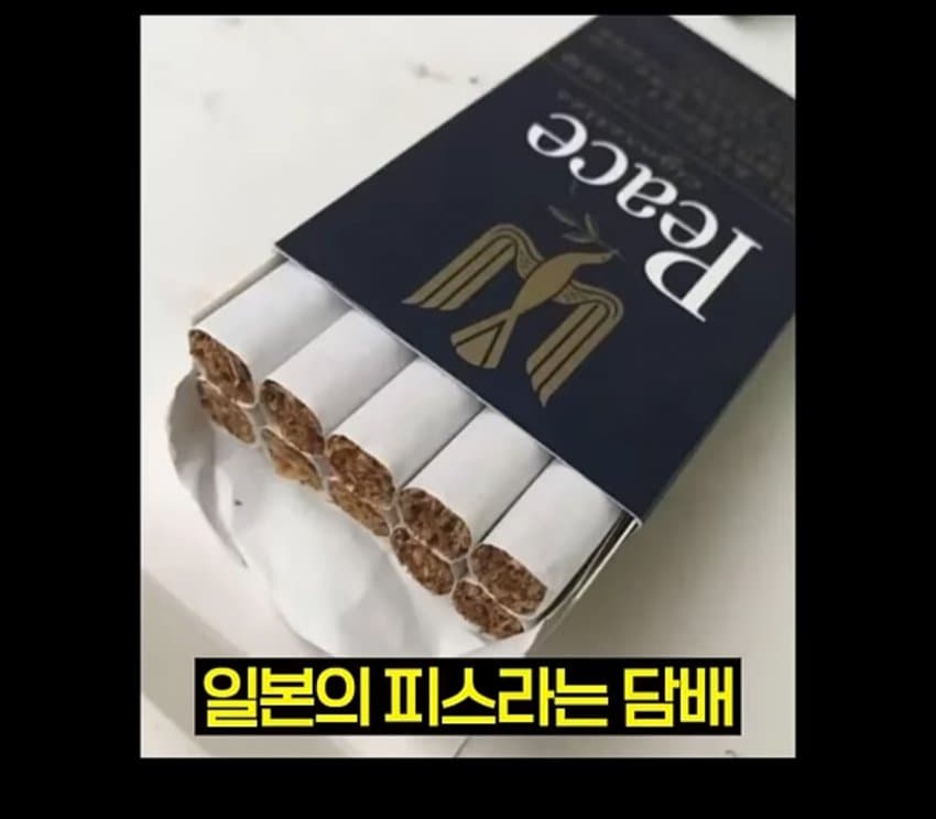 6TlkwZ2ccE8Aoa66MgW6A8.jpg 강한사람들만 핀다는 일본의 담배....jpg