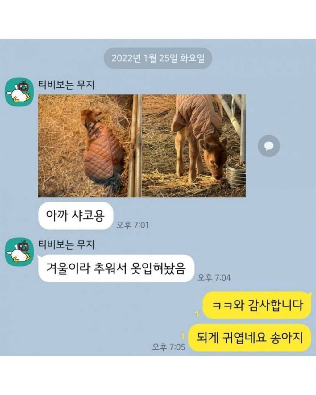 2b0b0bfb082d4c8a49bff59491d9a7e1f1366741.jpg 송아지 태어나서 게임중 탈주함.jpg