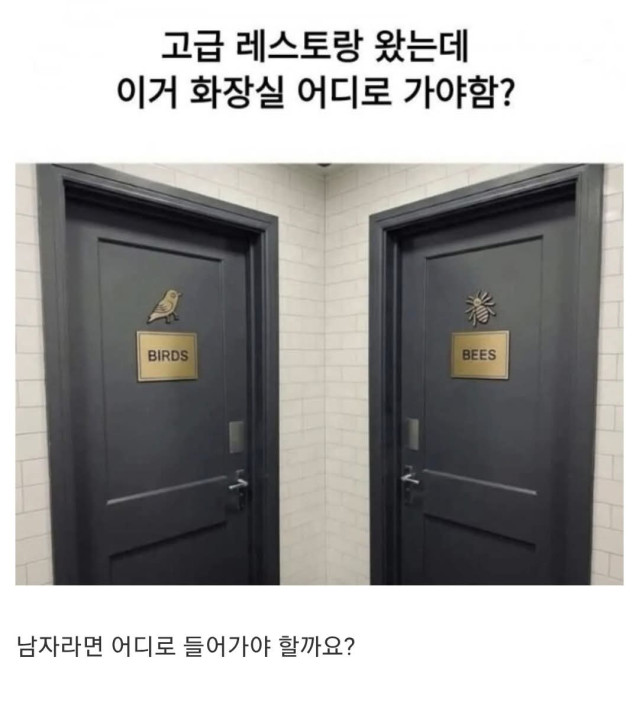 1766518628133.jpg 고급 레스토랑 왔는데 화장실 어디로 가야함?.jpg