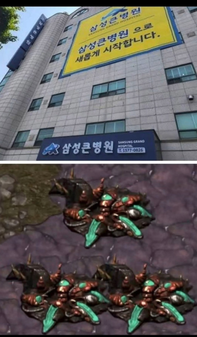 Screenshot_20251209_202457_Instagram.jpg 3성큰 병원.....jpg