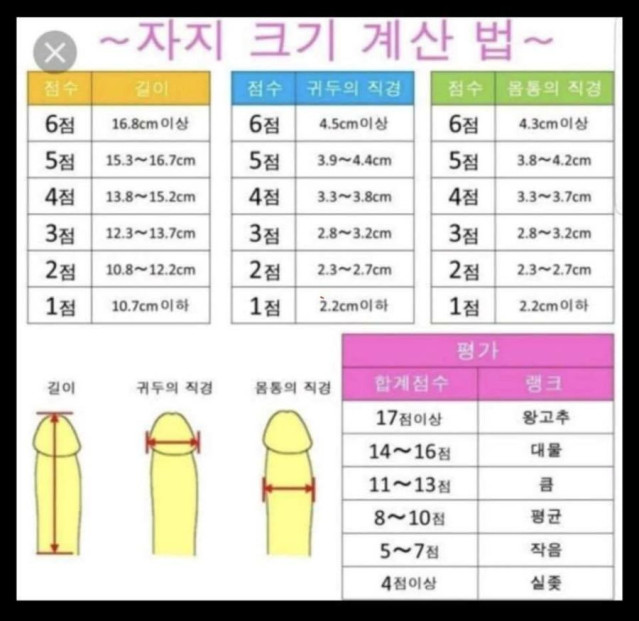 고추 크기 계산 법 (고추체급표)